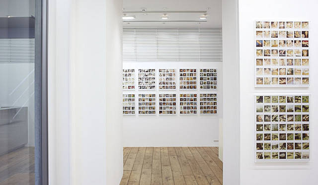 ラットホールギャラリー　荒木経惟個展『POLART 6000』