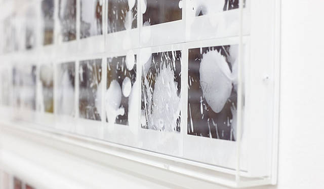 ラットホールギャラリー　荒木経惟個展『POLART 6000』