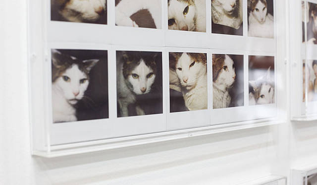 ラットホールギャラリー　荒木経惟個展『POLART 6000』