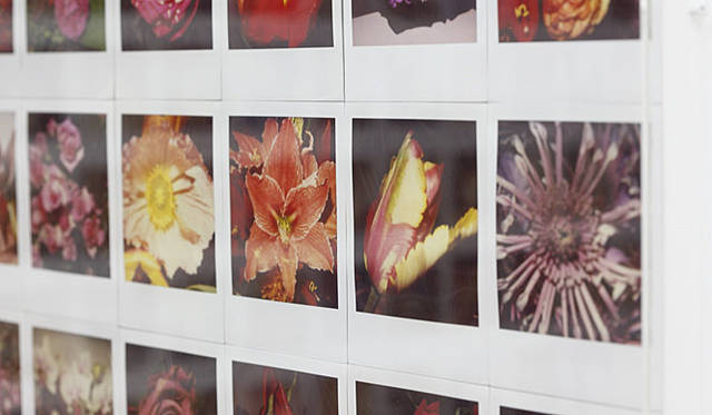 ラットホールギャラリー　荒木経惟個展『POLART 6000』