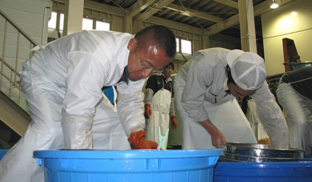 社長自らが酒造り