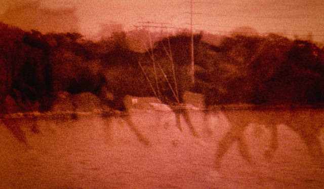 映画 『パティ・スミス：ドリーム・オブ・ライフ』<br>© 2007 Educational Broadcasting Corporation and Clean Socks