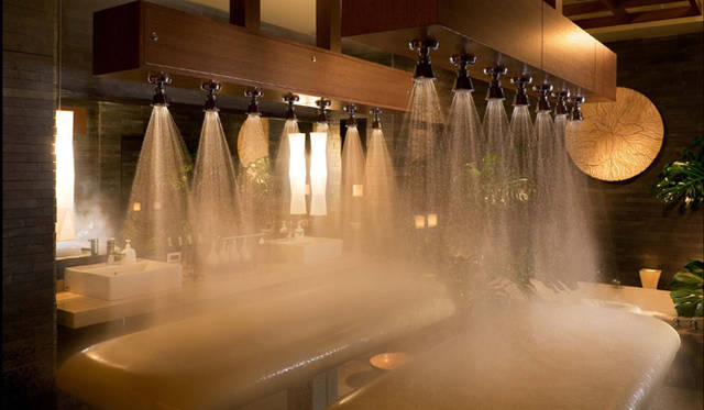 FOUR SEASONS HOTEL Tokyo at Chinzanso｜フォーシーズンズホテル椿山荘 東京　「YU THE SPAデトックスセラピー」で使用するヴィシーシャワー