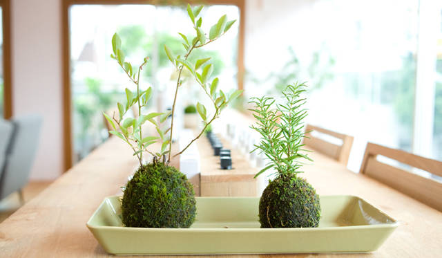 SHIGETAの全プロダクツが試せるサロン、small talking room 「薫る庭」