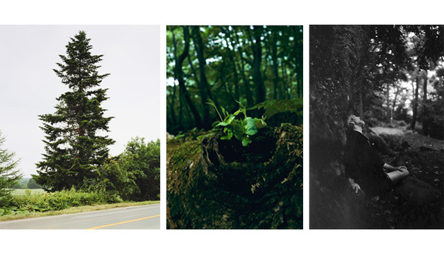 PARCO 40周年記念 more treesチャリティ写真展「TOUCH WOOD」展