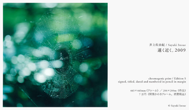 PARCO 40周年記念 more treesチャリティ写真展「TOUCH WOOD」展