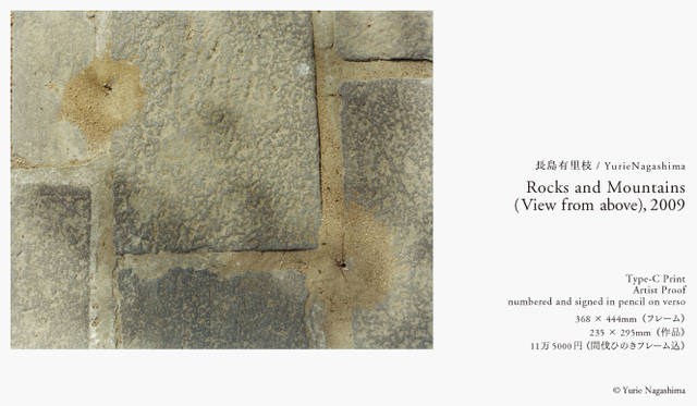 PARCO 40周年記念 more treesチャリティ写真展「TOUCH WOOD」展