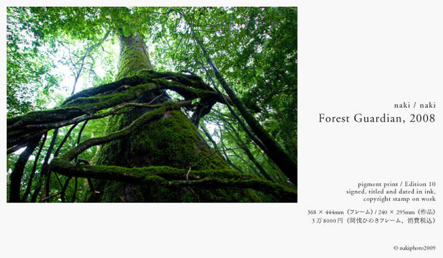 PARCO 40周年記念 more treesチャリティ写真展「TOUCH WOOD」展