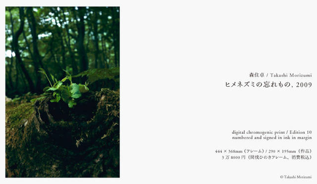 PARCO 40周年記念 more treesチャリティ写真展「TOUCH WOOD」展