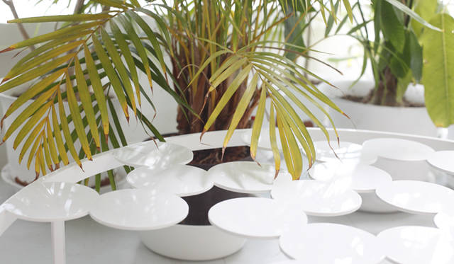 Divine of Creation｜作品「bubbles」(2006)