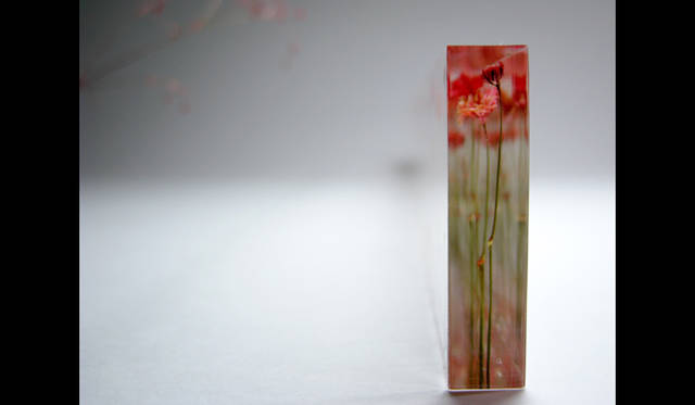寺山紀彦「f,l,o,w,e,r,s」　Material│acrylic