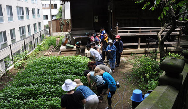 塚田有一│みどりの触知学　藍畑