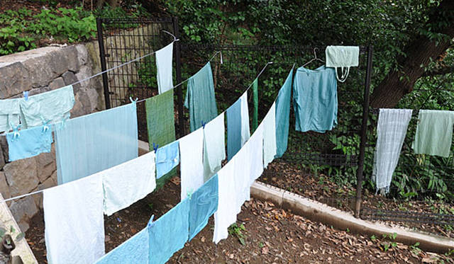 塚田有一│みどりの触知学　干す