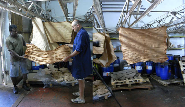 Daniel＆Bob（ダニエル＆ボブ）のレザー素材「RODI（ローディー）」