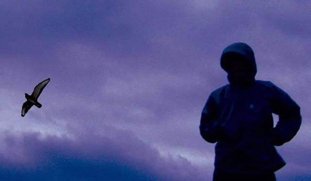 De La FANTASIA 2009 -Vol.ZERO-｜デ・ラ・ファンタジア 2009 　Ametsub（アメツブ）