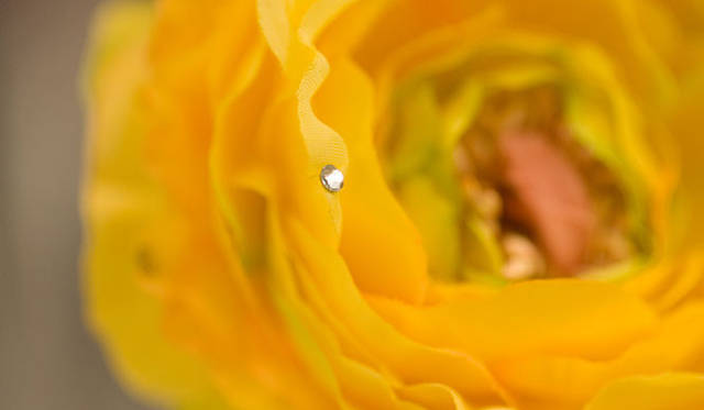 DEICA│デイカ　フラワーアロマディフューザー（松屋銀座限定品）