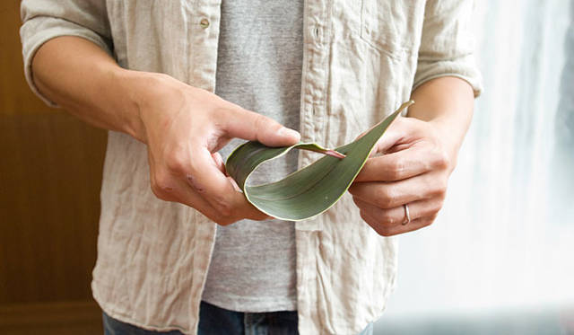 <b>男が楽しむ“ニューヨークスタイル”フラワーデザイン　「はじめてのバスケット・アレンジに挑戦（前編）」