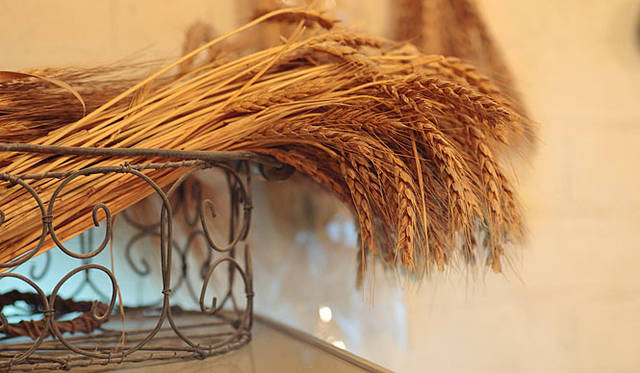 スピカ・麦の穂｜店名の『スピカ』は、乙女座の乙女デメルが、左手に持っている小麦の穂に位置する一等星の名前