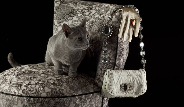 <br />ビジューが輝くバッグは、チェーンを取り外してクラッチバッグとして使うこともでき、取り外したチェーンをアクセサリーとして使うことも可能という、３ウェイがうれしい。まるでリングをはめているかのようにストーンがほどこされたグローブをお供に。バッグ[W18×H12cm]（参考色）10万5000円、ゴールドグローブ4万3050円【予定価格】（ともにミュウミュウ／プラダ ジャパンカスタマーリレーションズ　0120-559-914）