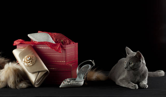 <br />シャンパンゴールドが可憐な印象のクラッチバッグ。とびきりエレガントなバッグには、ソール一面をきらめくシルバーで塗ったビジューサンダルをコーディネイト。バッグ[W26×H11.5×D5cm]16万8000円、シューズ[H10cm]16万5900円（ともにレネ カオヴィラ／ストラスブルゴ　0120-383-653）