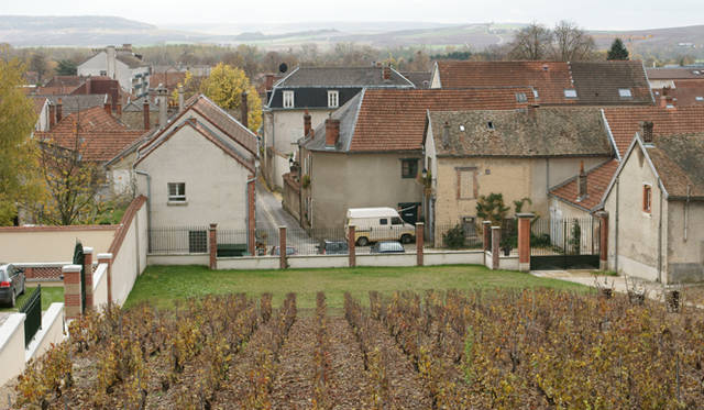 ボランジェ｜Bollinger｜ヴィエイユ・ヴィーユ・フランセーズ