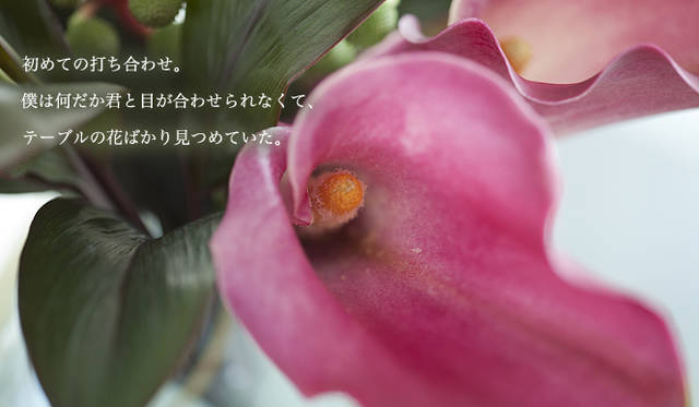 Cartier｜カルティエ<br><br>初めての打ち合わせ。<br><br>僕は何だか君と目が合わせられなくて、<br><br>テーブルの花ばかり見つめていた。