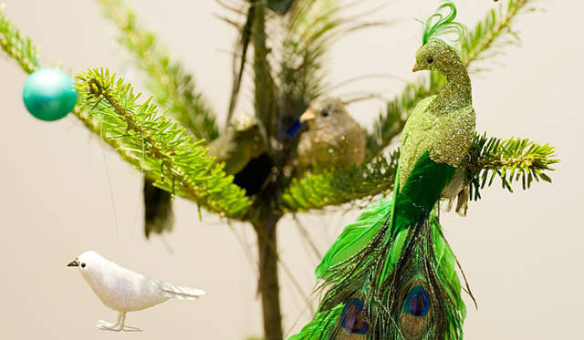 和気雅美│クジャクと小鳥をテーマにブルーでデコレーション