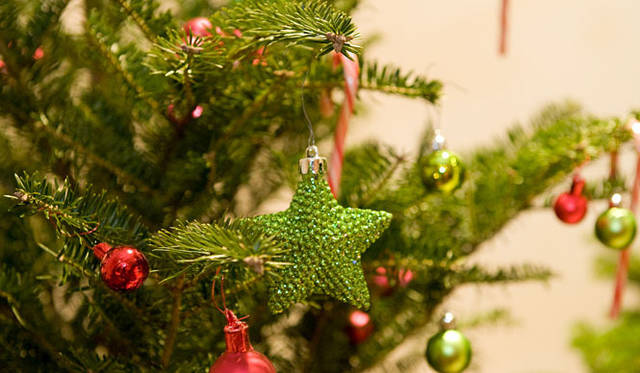 和気雅美│ホットピンクとライムグリーンにキャンディケーンでデコレーション