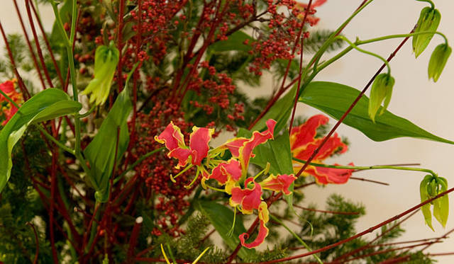 和気雅美│FLORALUXE好みのグロリオーサリリーは、黄色い縁（ふち）のあるヒラヒラしたフリルがキャンドルの炎を連想させます