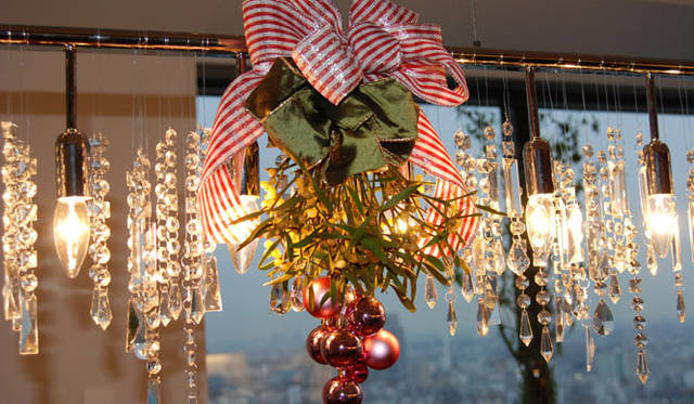 和気雅美│クリスマスの象徴、ヤドリギ