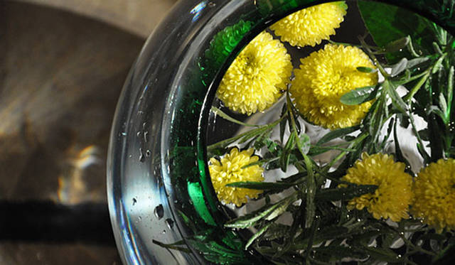 塚田有一│みどりの触知学　上弦の月にむかって活けた菊