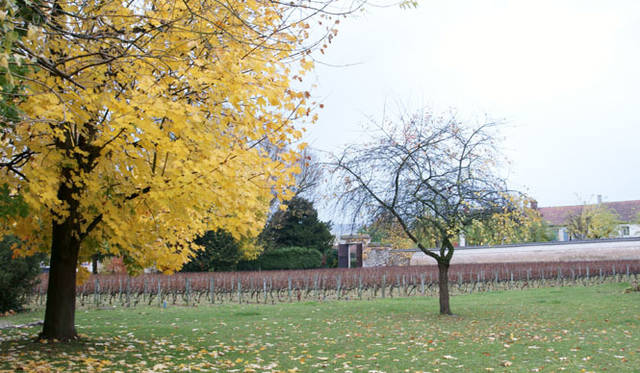 Jaquesson｜ジャクソン