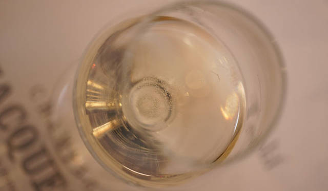 Jaquesson｜ジャクソン