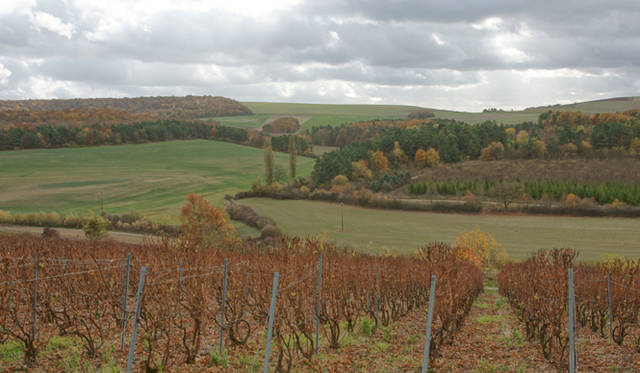 Drappier｜ドラピエ