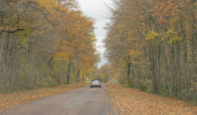 Drappier｜ドラピエ