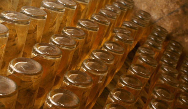 Louis Roederer｜ルイ・ロデレール