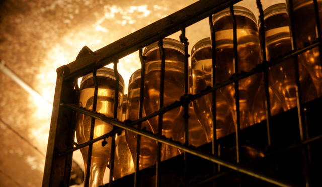 Louis Roederer｜ルイ・ロデレール