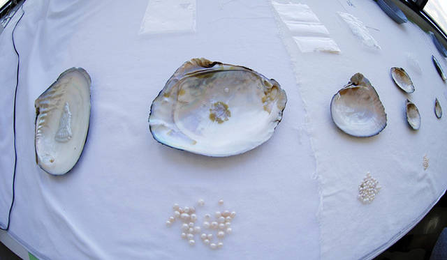 三原康裕的日本モノづくり｜MIHARAYASUHIRO × HUSAM × TASAKI