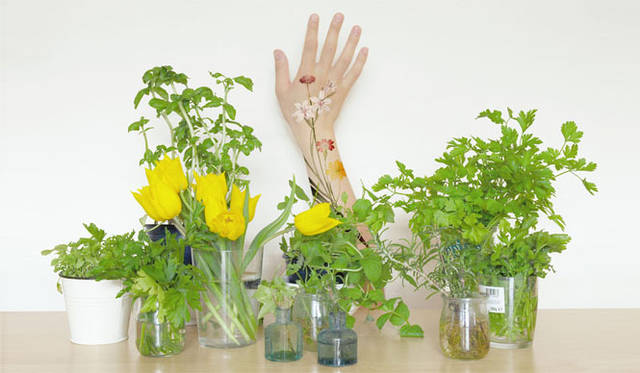 クリエイティブカンファレンス HIGH5 3│Toru Nagahama