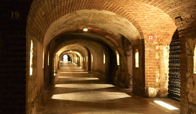 Dom Pérignon｜ドン ペリニヨン