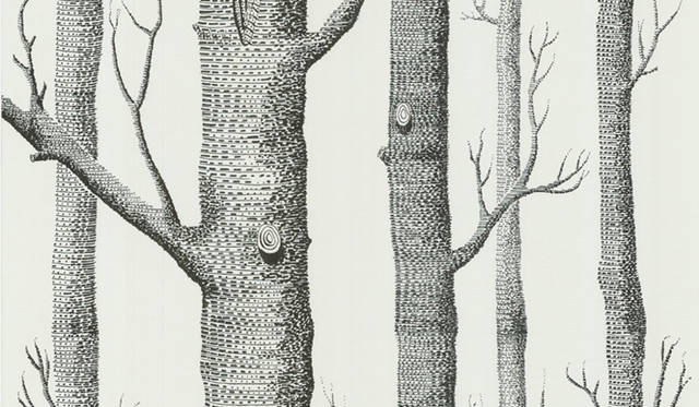 Cole ＆ Son｜Woods　white　