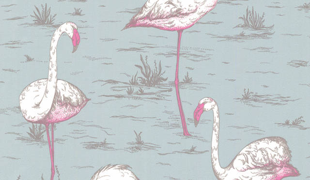 Cole ＆ Son｜Flamingos blue