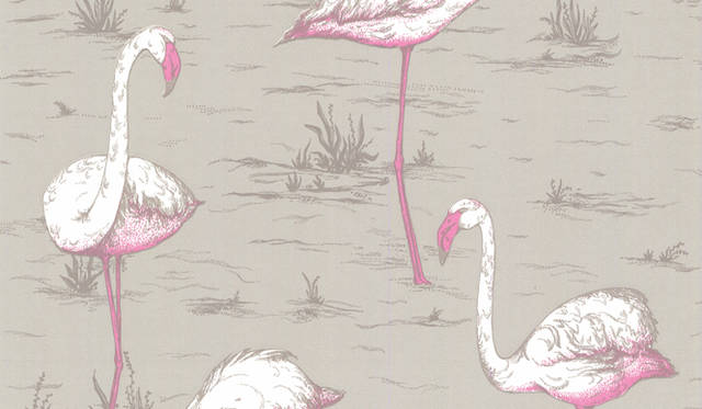 Cole ＆ Son｜Flamingos pink