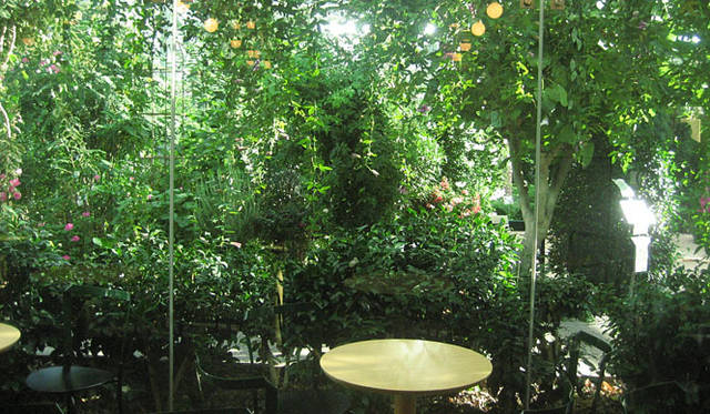 塚田有一│みどりの触知学　スウェーデンの温室風景より