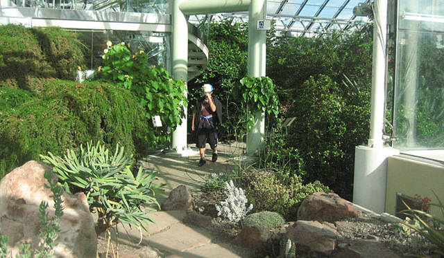 塚田有一│みどりの触知学　スウェーデンの温室風景より