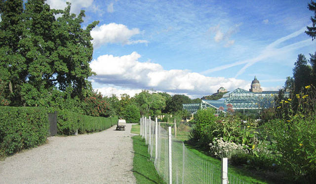 塚田有一│みどりの触知学　スウェーデンの温室風景より