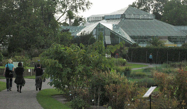 塚田有一│みどりの触知学　スウェーデンの温室風景より