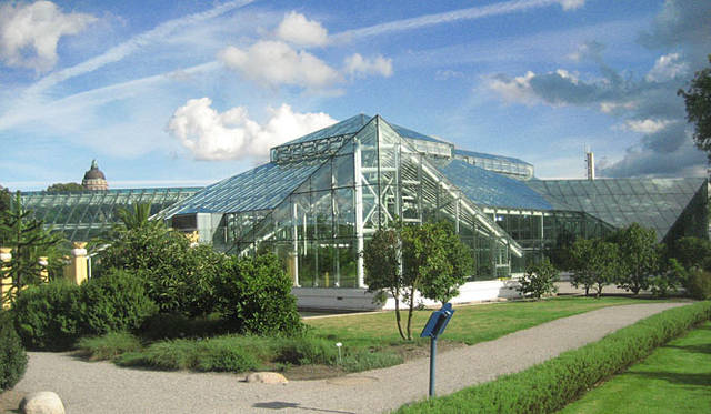 塚田有一│みどりの触知学　スウェーデンの温室風景より