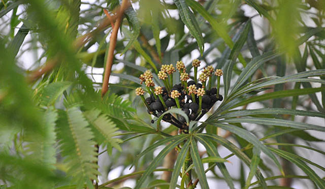 塚田有一│みどりの触知学　BMW Studio ONE　オスモキシロン