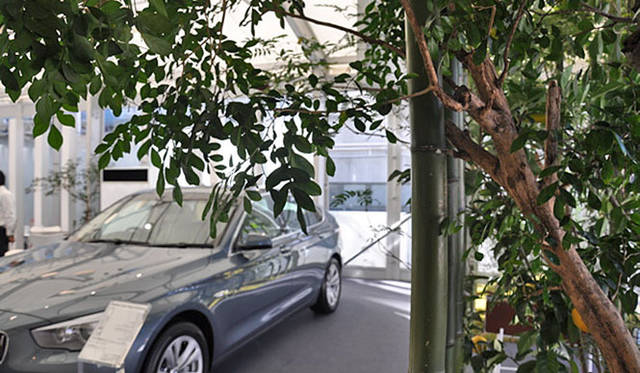 塚田有一│みどりの触知学　BMW Studio ONE　シマトネリコ、カリアンドラ